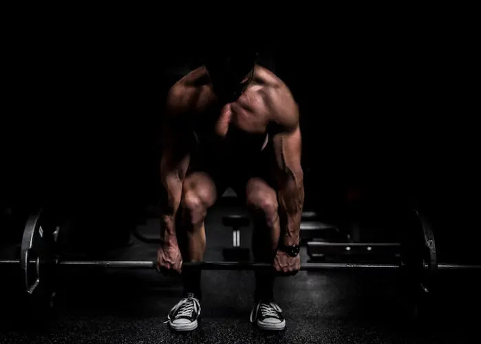 conseils prise de muscle
